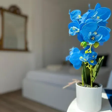 Fior Di Loto - Lingotto *